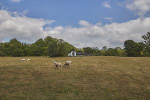 Land- click for photo gallery